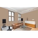 Auro Wandfarbe 555 - Colours for life - hazelnut 10