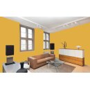 Auro Wandfarbe 555 - Colours for life - hot mustard
