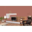 Auro Wandfarbe 555 - Colours for life - K1000 hazel