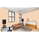 Auro Wandfarbe 555 - Colours for life - K232 playa