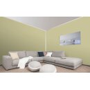 Auro Wandfarbe 555 - Colours for life - K290 lime