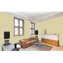 Auro Wandfarbe 555 - Colours for life - K291 golden kiwi