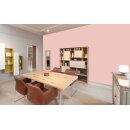 Auro Wandfarbe 555 - Colours for life - K35.3 rose