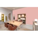Auro Wandfarbe 555 - Colours for life - K35.4 princess
