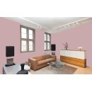 Auro Wandfarbe 555 - Colours for life - K45.6 nostalgia