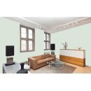 Auro Wandfarbe 555 - Colours for life - K65.3 lime green