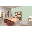 Auro Wandfarbe 555 - Colours for life - K65.5 mint chocolate