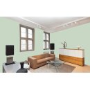 Auro Wandfarbe 555 - Colours for life - K65.5 mint chocolate