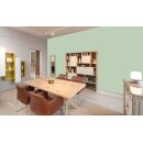 Auro Wandfarbe 555 - Colours for life - K65.6 verde esmeralda