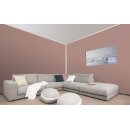 Auro Wandfarbe 555 - Colours for life - K85.7 mushroom