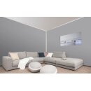 Auro Wandfarbe 555 - Colours for life - K95.6 platinum