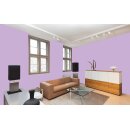 Auro Wandfarbe 555 - Colours for life - lilac whisper 05