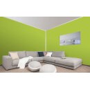 Auro Wandfarbe 555 - Colours for life - lime peel
