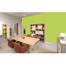 Auro Wandfarbe 555 - Colours for life - lime peel 05