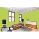 Auro Wandfarbe 555 - Colours for life - lime peel 05