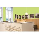 Auro Wandfarbe 555 - Colours for life - lime peel 10