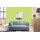 Auro Wandfarbe 555 - Colours for life - lime peel 10