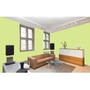 Auro Wandfarbe 555 - Colours for life - lime peel 15