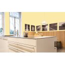 Auro Wandfarbe 555 - Colours for life - mango fresh 20