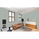 Auro Wandfarbe 555 - Colours for life - moss green 15