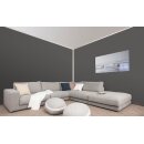 Auro Wandfarbe 555 - Colours for life - mystic grey