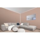 Auro Wandfarbe 555 - Colours for life - nutmeg brown 15