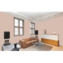 Auro Wandfarbe 555 - Colours for life - nutmeg brown 20