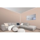 Auro Wandfarbe 555 - Colours for life - nutmeg brown 20