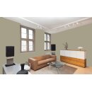 Auro Wandfarbe 555 - Colours for life - olive 10