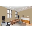 Auro Wandfarbe 555 - Colours for life - olive green 10