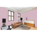 Auro Wandfarbe 555 - Colours for life - powder lilac 10