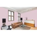 Auro Wandfarbe 555 - Colours for life - powder lilac 15