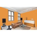 Auro Wandfarbe 555 - Colours for life - pure mango