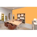 Auro Wandfarbe 555 - Colours for life - pure melon 05