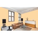 Auro Wandfarbe 555 - Colours for life - pure melon 15