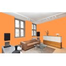 Auro Wandfarbe 555 - Colours for life - pure papaya