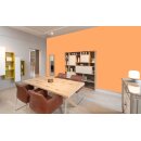 Auro Wandfarbe 555 - Colours for life - pure papaya 05