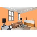 Auro Wandfarbe 555 - Colours for life - pure papaya 05