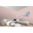 Auro Wandfarbe 555 - Colours for life - red earth 25