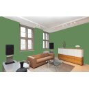 Auro Wandfarbe 555 - Colours for life - reseda green