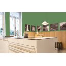 Auro Wandfarbe 555 - Colours for life - reseda green