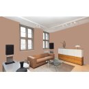 Auro Wandfarbe 555 - Colours for life - rolling tobacco 10