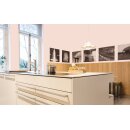 Auro Wandfarbe 555 - Colours for life - rose quartz
