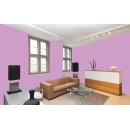 Auro Wandfarbe 555 - Colours for life - rose shade