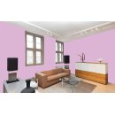 Auro Wandfarbe 555 - Colours for life - rose shade 05