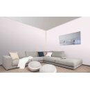 Auro Wandfarbe 555 - Colours for life - rose shade 25