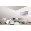 Auro Wandfarbe 555 - Colours for life - rosy-tinted