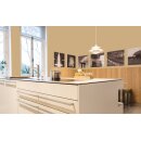 Auro Wandfarbe 555 - Colours for life - serengeti 10