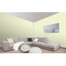 Auro Wandfarbe 555 - Colours for life - shooting star