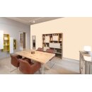 Auro Wandfarbe 555 - Colours for life - shy apricot